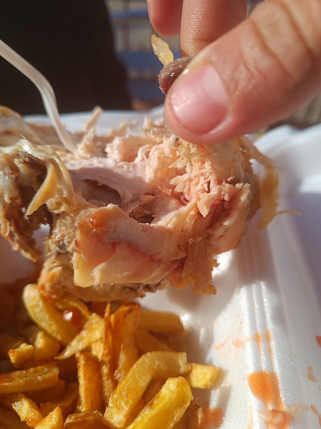 Pollo Criollo San Antonio